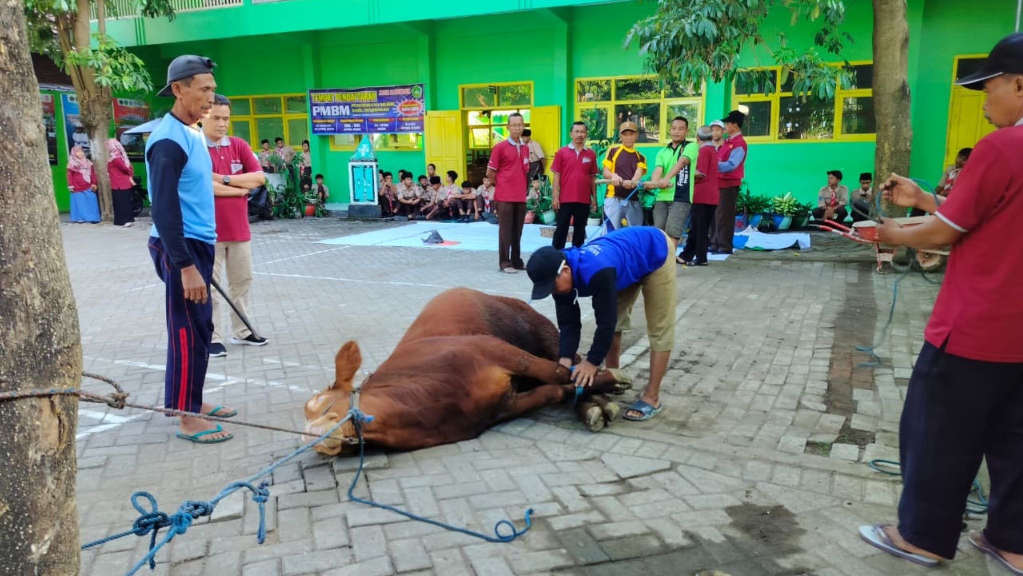 MTsN 10 Nganjuk Gelar Sholat Idul Adha dan Penyembelihan Hewan Kurban 1447 H